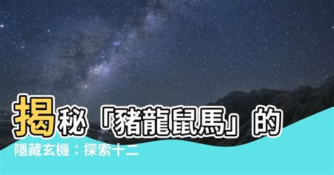 豬龍鼠馬是什麼意思|12 生肖配對的三合，六合，沖六，守衛保護六